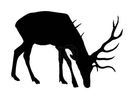 Deer Vector Silhouette Illustration, isoliert auf weißem Hintergrund. Jagdtrophäen mit vorgehaltener Waffe, wie eine Zielscheibe. Kräftige Waldtierweiden.