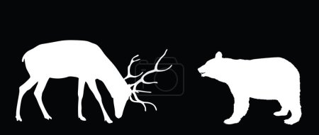 Regenhirsche gegen amerikanische Schwarzbärenvektorsilhouette Illustration isoliert auf dem Hintergrund. Kampf um Leben und Nahrung Hirsch gegen Bär. Hirschelchbock. Mächtiges Riesengeweih Hirsch gegen Raubtier im Wald