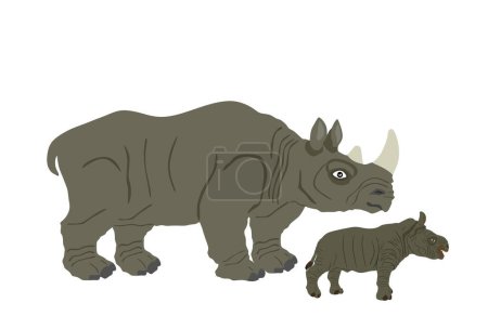 Illustration for Rhinoceros family vector illustration isolated on white background. Rhino and cub. Mother and baby animal from Africa. - Royalty Free Image