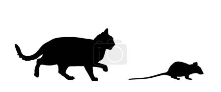 Gros chat affamé chassant rat souris vecteur silhouette illustration isolé sur fond blanc. Le chat mange des rats. Chasseur de félins chassant des souris proies. 