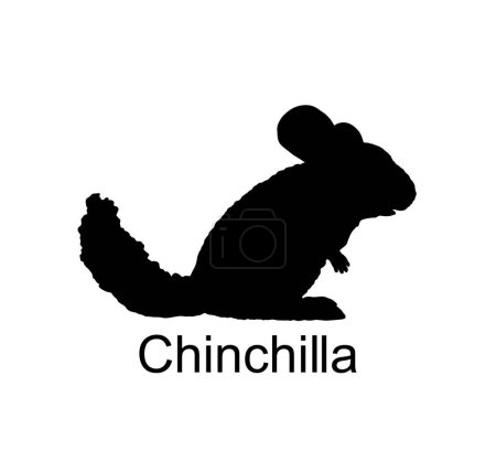 Chinchilla vector silhouette illustration isolated on white background. Cute little pet, rodent animal. Chinchilla shape shadow.