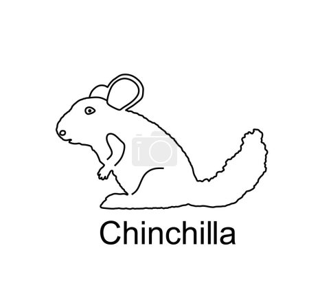Chinchilla vector line contour silhouette illustration isolated on white background. Cute little pet, rodent animal.