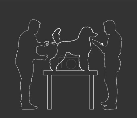 Professional grooming team hairdressing French Royal Poodle champion dog on desk in groom saloon vector line contour silhouette illustration isolated on black background. Hygiene health care for pet.