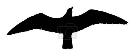 Téléchargez les illustrations : Illustration de silhouette vectorielle mouette mouette isolée sur fond blanc. Les ailes se sont étendues. Mouette en forme d'oiseau. Symbole de liberté. Chasseur de poissons volant. - en licence libre de droit