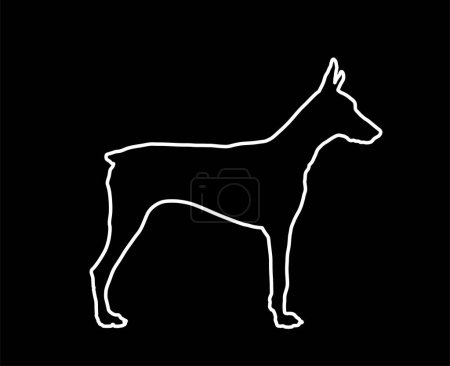 Illustration for Pincher Doberman dog line contour vector silhouette illustration isolated. German military guardian dog for detecting smuggling drugs. Beware of dog sign. Best friend and guard dog. Shape doberman. - Royalty Free Image