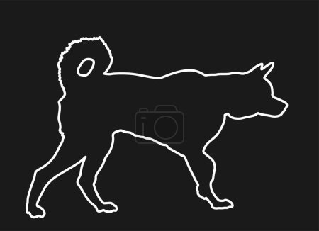 Illustration for Siberian Husky dog vector line contour silhouette illustration isolated. Akita Inu breed. Dog show champion. Purebred guard dog. Lovely pet and familys best friend. Beware of dog graphic sign. - Royalty Free Image