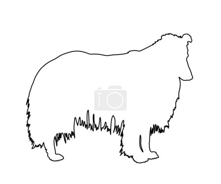 Illustration for Portrait of Rough Collie vector line contour silhouette illustration isolated on white background. Scottish Shepherd dog graphic. Beware of dog. Shape Rough Collie shadow. - Royalty Free Image