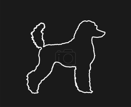 Illustration for Portrait of Royal Poodle vector line contour silhouette illustration isolated on black background. French poodle shape shadow. Beware of dog sign. Dog show exhibition. - Royalty Free Image