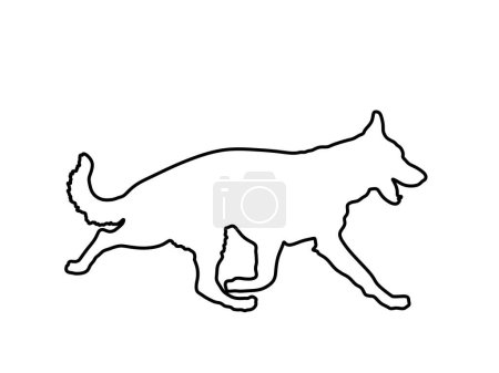 Illustration for German Shepherd running dog vector line contour silhouette illustration isolated on white. Mans best friend. Lovely pet. Dog show exhibition. Finder detect explosives and drugs. Rescue finding dog. - Royalty Free Image