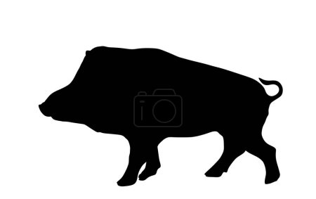 Warthog vector silhouette illustration isolated on white background. Bush Pig. Wild boar symbol. Boar isolated, warthog icon. Wild animals nature wildlife. Pumba hog.