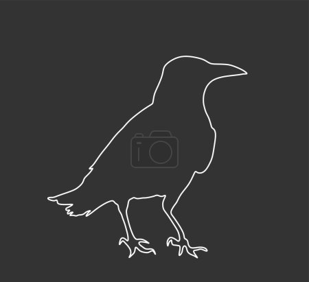 Crow vector line contour silhouette illustration isolated on black background. Black bird raven symbol. Halloween scary sign. Raven shape shadow.