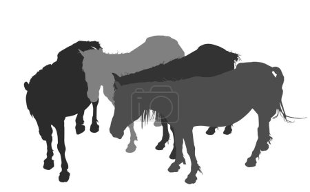 Elegant farm horses family vector silhouette illustration isolated on white background. Herd of horse in stall. Hippodrome sport event jet set entertainment. Noble animal pet. Shape horses shadow.