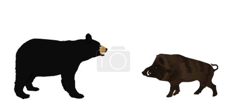 Oso negro americano contra el jabalí vector silueta ilustración aislada sobre fondo blanco. Lucha contra el oso salvaje contra el jabalí. Bosque hambre bestia necesidades alimento forma sombra.