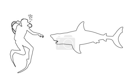 Line contour diver observing a great white shark vector silhouette illustration isolated. Swimming biology research. Brave boy explorer against shark under water shape. Scary scene in marine wildlife.