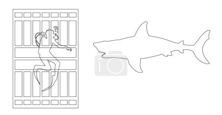 Diver in diving cage observing a great white shark vector line contour illustration isolated.  Swimming biology research. Explorer against shark under water silhouette. Scary scene in marine wildlife.