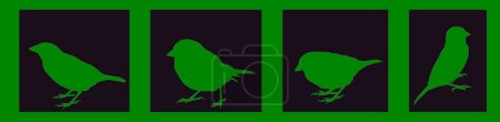 Sammlung von Sperlingsvogel Vektor Silhouette Illustration isoliert auf schwarzem Hintergrund. Kleine Stadtvögel formen Porträt. Sperlingsschatten.