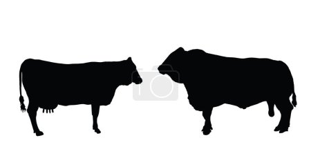 Téléchargez les illustrations : Vache et taureau couple vecteur silhouette illustration isolée sur fond blanc. Ferme animal accouplement amour forme ombre. Pâturages bio. Silhouette de vache. Silhouette taureau. - en licence libre de droit