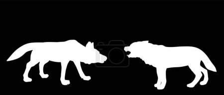 Alpha wolf fight against opponent vector silhouette illustration isolated on black background. Beast battle for mating with female. Shape male wolf VS dog fight, shepherd shadow protect sheep.
