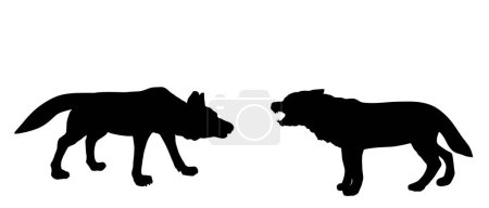 Alpha wolf fight against opponent vector silhouette illustration isolated on white background. Beast battle for mating with female. Shape male wolf VS dog fight, shepherd shadow protect sheep.