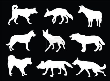 Lobo, coyote, chacal y perro colección vector silueta ilustración aislada. Lobo de crin. Husky y Akita Inu. Lobo forma sombra. Razas de perros. Coyote y símbolo de bestia chacal. Animales salvajes y de compañía.