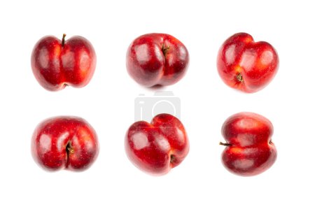 Foto de Red Apple Looks Like a Human Butt Isolated, Shining Ass, Fitness Concept, Fruit Buttocks Collection on White Background - Imagen libre de derechos