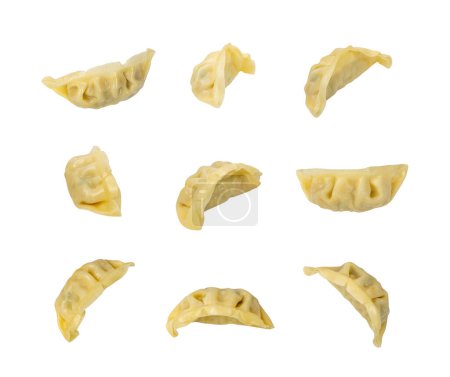 Photo for Gyoza Chinese Dumplings Isolated, Vegetable Jiaozi, Chicken Momo Set, Asian Gyoza Collection on White Background with Clipping Path - Royalty Free Image