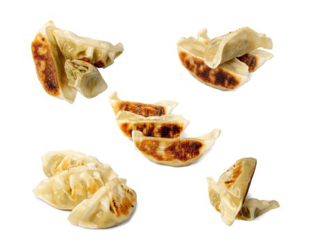Photo for Gyoza Chinese Dumplings Set Isolated, Fried Vegetable Jiaozi, Chicken Momo Pile, Asian Gyoza Group on White Background with Clipping Path - Royalty Free Image