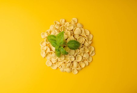 Photo for Raw Orecchiette Pasta, Homemade Dry Macaroni, Italian Recchietedde, Raw Noodle, Orecchiette Pasta on Yellow Background - Royalty Free Image