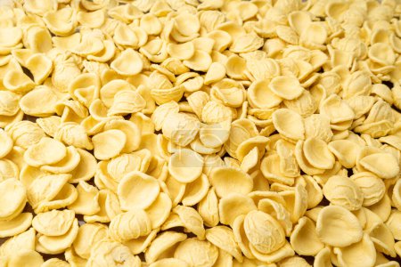 Photo for Raw Orecchiette Pasta Texture Background, Homemade Dry Macaroni Pattern, Italian Recchietedde Banner, Raw Noodle, Orecchiette Pasta Background with Copy Space - Royalty Free Image
