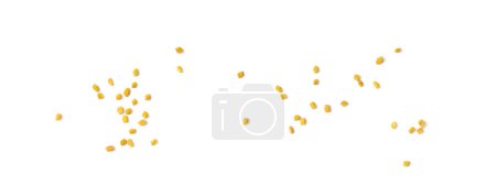 Foto de Semillas de alholva aisladas, Trigonela seca, Granos de Methi Dana picantes, Ingrediente de condimento de cocina india, Condimento de semilla de alholva amarilla seca - Imagen libre de derechos