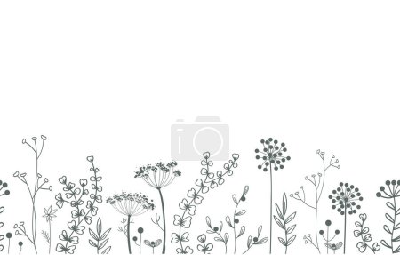 Téléchargez les illustrations : Floral vecteur frontière transparente. Arrière-plan avec espace de copie pour texte. Plantes et feuilles - en licence libre de droit