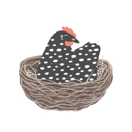 Illustration for Cute dappled hen sitting in the nest. Broody hen. Vector illustration isolated on white background. - Royalty Free Image