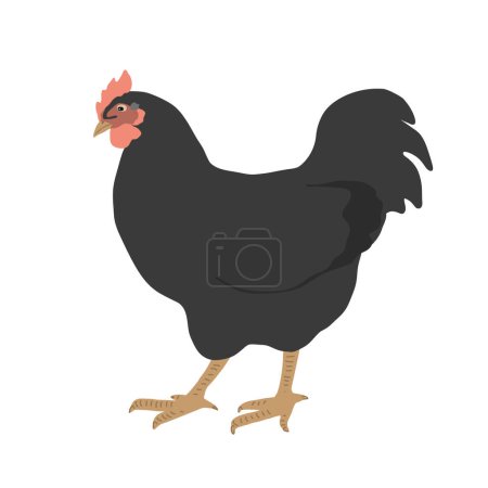Téléchargez les illustrations : Coq noir icône, coq vecteur illustration isolé sur blanc. Coq drôle et mignon oiseau, Pâques ou élément de conception de thème de ferme - en licence libre de droit