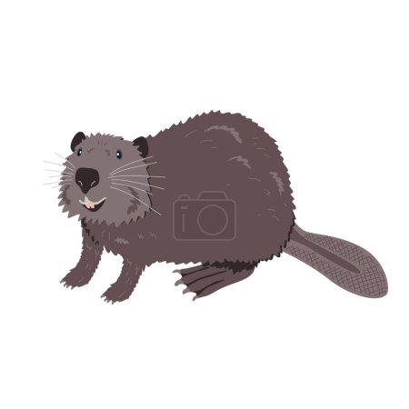 Illustration for Beaver vector illustration isolated on white. Funny happy beaver cartoon animal character. - Royalty Free Image
