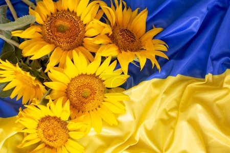Foto de Flag of Ukraine and sunflowers - Imagen libre de derechos