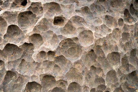 Photo for Natural stone It is shaped like a honeycomb hole. - Royalty Free Image