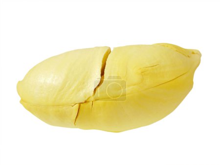 Carne de durian amarillo rica aislada sobre fondo blanco con camino de recorte. Mucha gente lo nombra como el Rey de los frutos
.