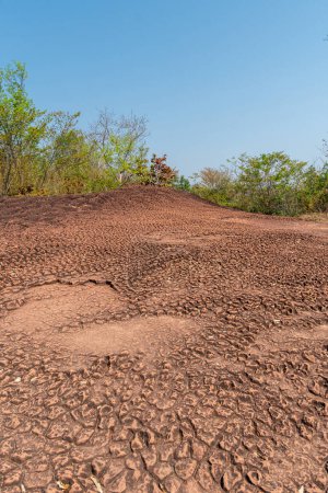 Foto de Naka Cueva Tailandia.Giant Snake Scale Stone. ubicado en el Parque Nacional Phu Langka en el distrito de Bueng Khong Long de la provincia de Bueng Kan. Naka significa serpiente - Imagen libre de derechos