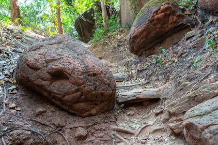 Foto de Naka cueva gigante serpiente escala piedra. en el parque nacional Phu Langka, Buangkan Tailandia. - Imagen libre de derechos