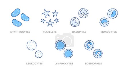 Téléchargez les illustrations : Illustration de doodle de cellules sanguines comprenant des icônes érythrocytes, plaquettes, basophiles, monocytes, leucocytes, lymphocytes, éosinophiles. Un art linéaire sur l'hématologie. Couleur bleue, AVC modifiable. - en licence libre de droit