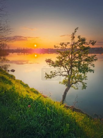 Téléchargez les photos : Coucher de soleil au lac avec un seul arbre sur la colline. Coucher de soleil vibrant reflétant dans l'étang calme mer - en image libre de droit