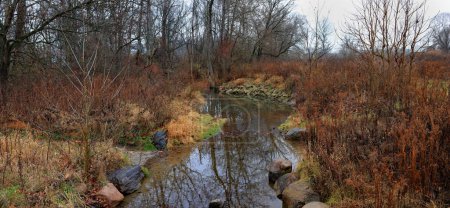 Foto de Un arroyo fluye a través de un bosque de finales de otoño, sus orillas adornadas con rocas, malas hierbas, hierbas y árboles sin hojas. - Imagen libre de derechos