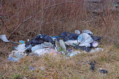 Photo for Trash deliberately discarded along a grassy field. In this case this is the result of more than random littering, this it the dumping of personal trash on someones property - Royalty Free Image