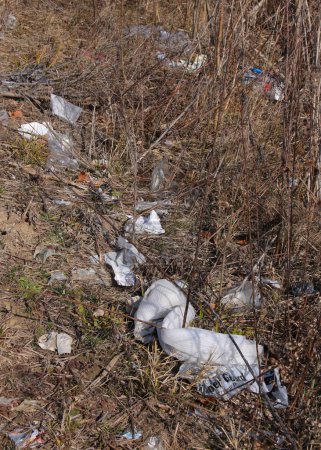 Photo for Trash discarded along a grassy area alongside an (unseen) urban creek . - Royalty Free Image