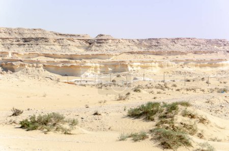 Téléchargez les photos : Bu Salwa Shelf Hills Desert landscape with limestone hillocks in the background, Qatar - en image libre de droit