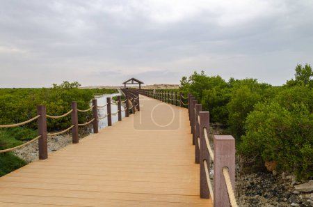 Foto de Mesmerizing beauty of Purple Island at Al Khor, Qatar - Imagen libre de derechos