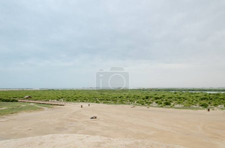 Téléchargez les photos : Mesmerizing beauty of Purple Island at Al Khor, Qatar - en image libre de droit