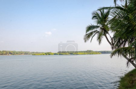Photo for Backwaters of Kemmanu delta - Royalty Free Image