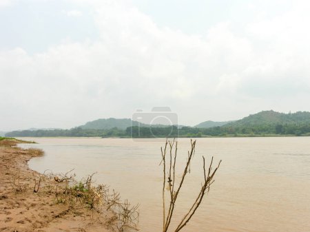 Photo for Flooded river with muddy water - Royalty Free Image
