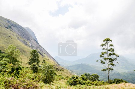 Foto de Colinas rocosas de Munnar, Kerala, India - Imagen libre de derechos